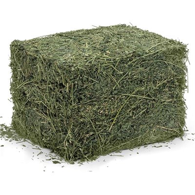Erba medica in fieno secco, balla di erba medica 15 kg, con aromi e sapori naturali, foraggio Alfalfa per animali fieno conigli